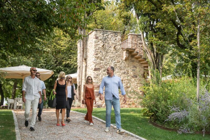 Lazise: Vineyard Tour and Organic Wine Tasting - Vineyard Walks Through the Hills of Lake Garda