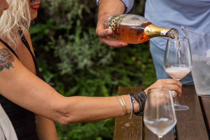 Lazise: Vineyard Tour and Organic Wine Tasting - Tasting Five Wines Paired with Local Snacks