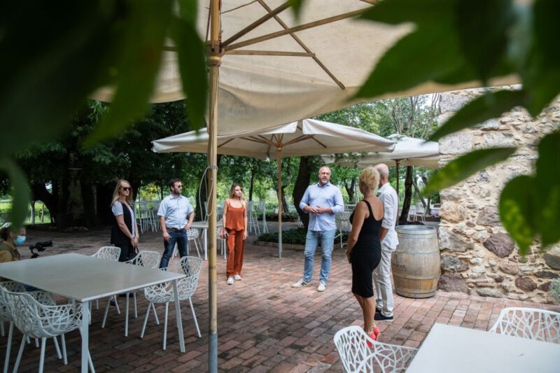 Lazise: Vineyard Tour and Organic Wine Tasting - The Modern Wine Shop and Bottle Purchases