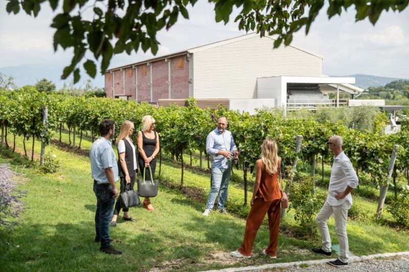 Lazise: Vineyard Tour and Organic Wine Tasting - Booking Flexibility and Cancellation Policy