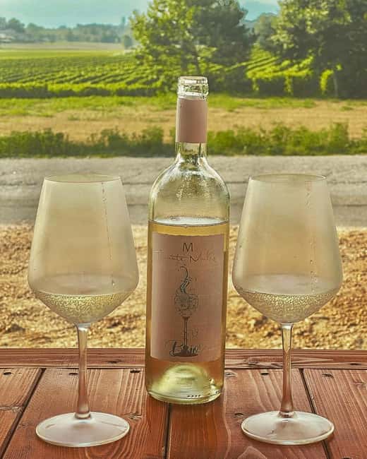 Lazise: Wine Tasting Experience with Local Delicacies - Final Thoughts on the Lazise Wine Tasting Experience