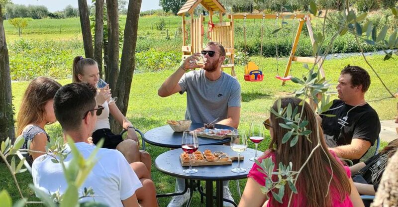 Lazise: Wine Tasting with Charcuterie and Cheese Board - Key Points