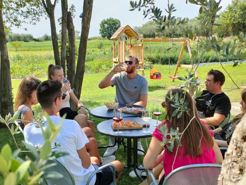 Lazise: Wine Tasting with Charcuterie and Cheese Board - Food Pairings with Farm-Grown Produce