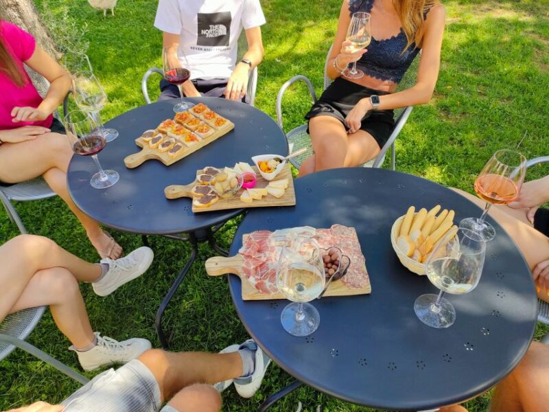 Lazise: Wine Tasting with Charcuterie and Cheese Board - Meeting Point and Accessibility