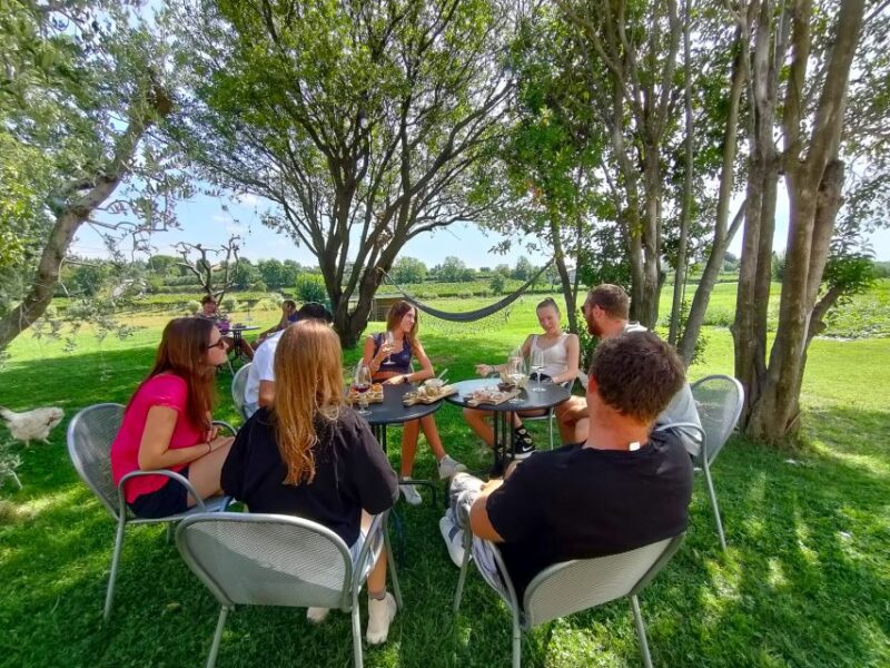 Lazise: Wine Tasting with Charcuterie and Cheese Board - Limitations and Considerations