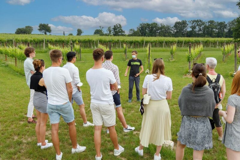 Lazise: Winery Tour with Garda Wines and Food Tasting - Sampling Garda Wines: From Bardolino to Custoza