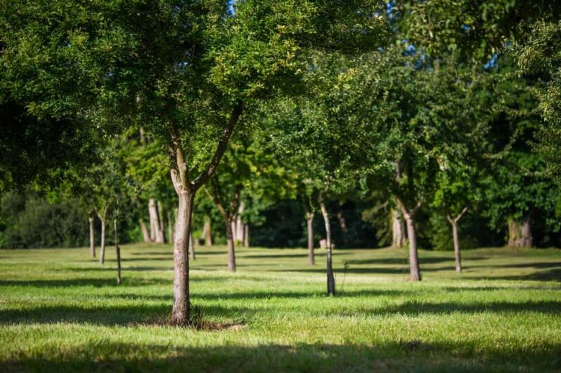 Le Breuil en Auge - Guided tour of the Château distillery - Practical Details and Accessibility