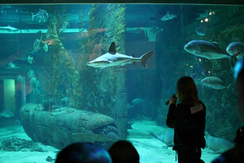 Le Grau-du-Roi: Seaquarium Skip-the-Line Entrance Ticket - Key Points