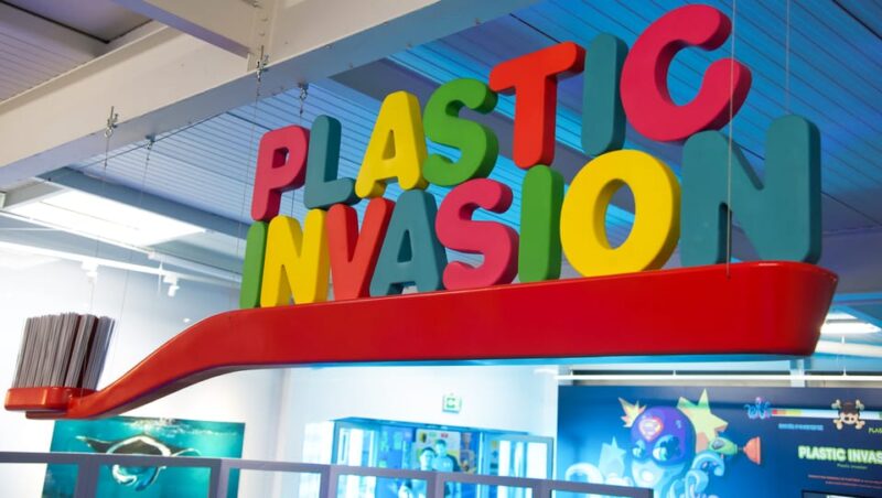 Le Grau-du-Roi: Seaquarium Skip-the-Line Entrance Ticket - Final Thoughts on Visiting the Seaquarium in Le Grau-du-Roi