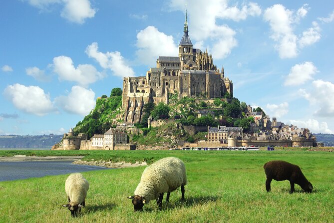 Le Havre to Mont Saint Michel: Small Group Private Tour - Key Points