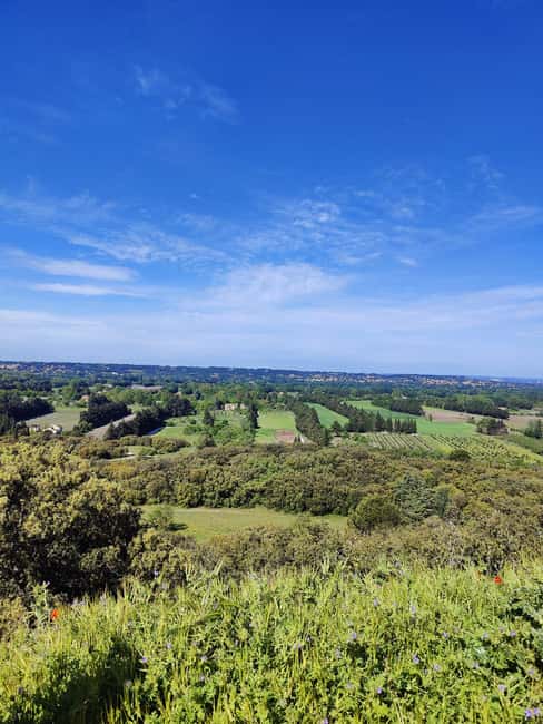Le Thor, Châteauneuf De Gadagne, St-Saturnin Les Avignon by e-bike - Pacing, Duration, and Flexibility