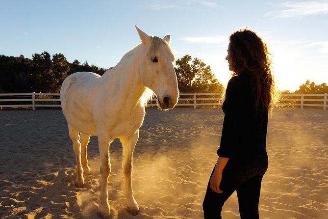 Leadership & Mindfulness Retreat with Horses - Individual & Group - Key Points