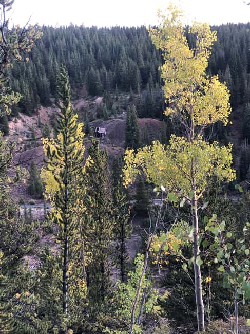 Leadville: 2-Hour Guided E-Bike Tour - Who Will Enjoy This Tour Most