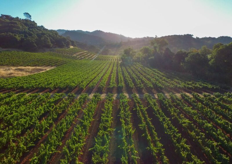 Learn all about Crete in one Tour | Private Guided Tour - Who Will Love This Tour