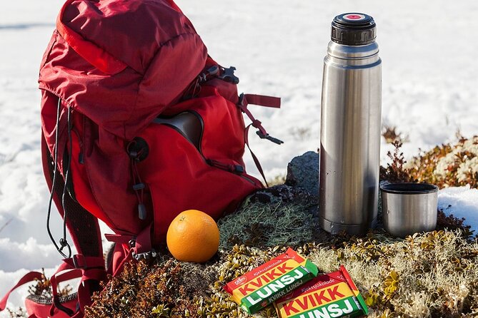 Learn Nordic Skiing - Private Class with Professional Instructor - What Sets This Tour Apart from Other Activities