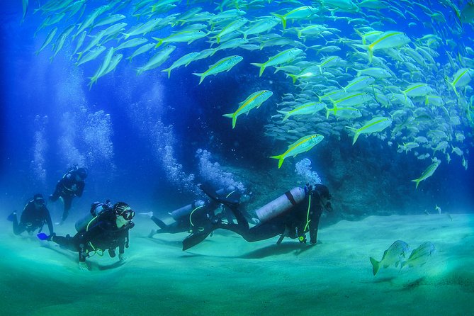 Learn to Scuba Dive in Cabo San Lucas with PADI - Key Points