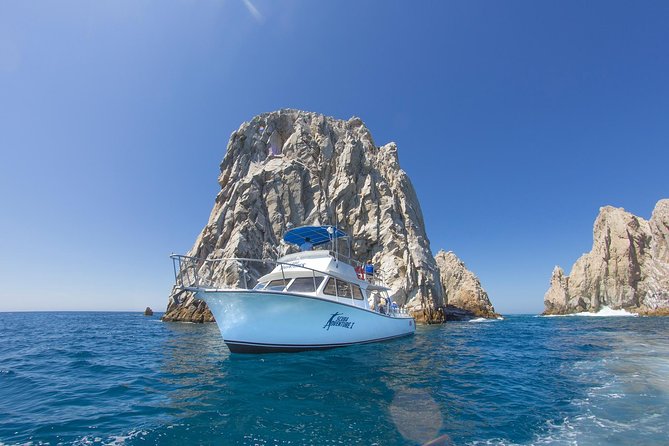 Learn to Scuba Dive in Cabo San Lucas with PADI - The Ocean Dive Near the Arch of Cabo San Lucas
