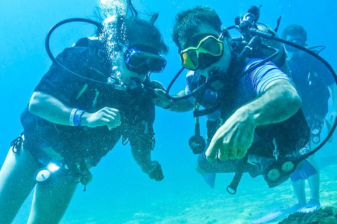 Learn to Scuba Dive in Cabo San Lucas with PADI - Small Group Experience and Guided Support