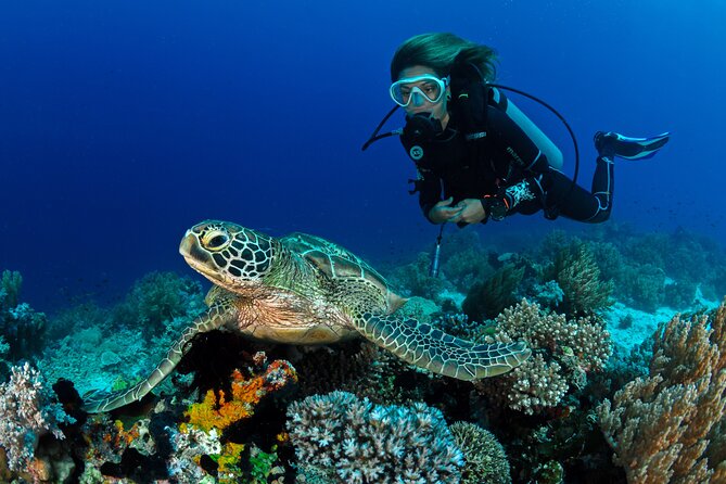 Learn to Scuba Dive with a Professional Instructor in Key Largo - All Inclusive - Reviews Highlighting Experience and Staff