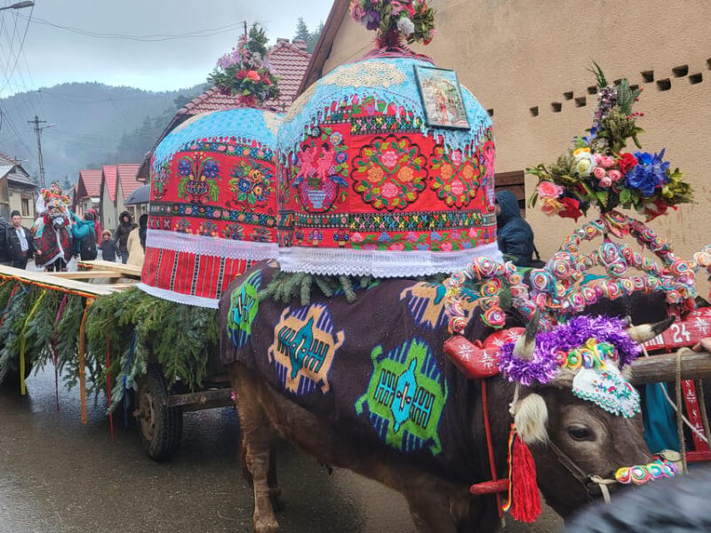 Learning toghether Transylvanian dances in Sibiu - Learning Together Transylvanian Dances in Sibiu: An Authentic Cultural Experience