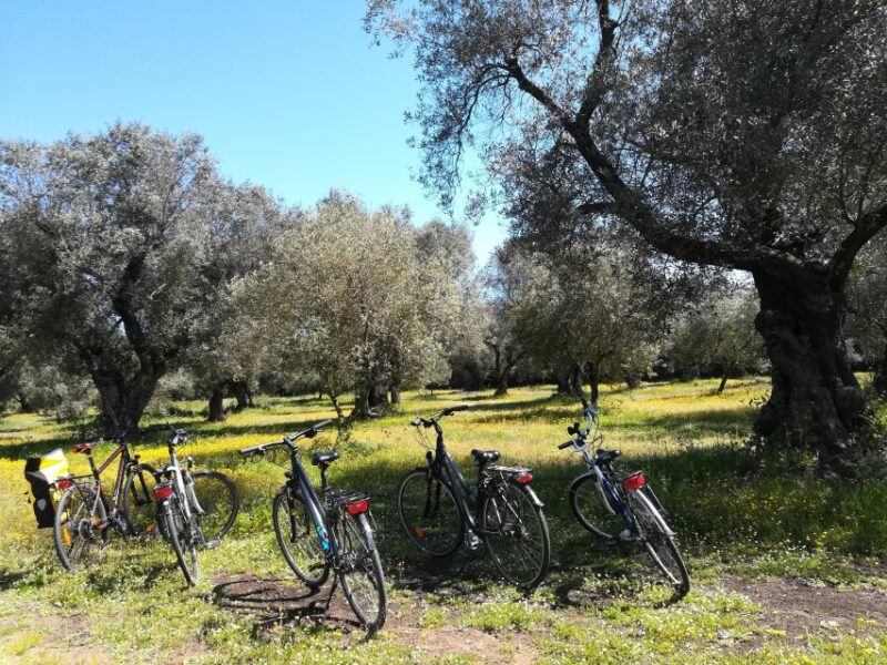 Lecce: Bike Rental (City, Trekking, E-Bikes) - The Perfect Choice for Active Exploration