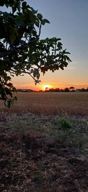 Lecce: Countryside Vineyard Walk & Wine Tasting - The Personal Touch of Host Giorgia