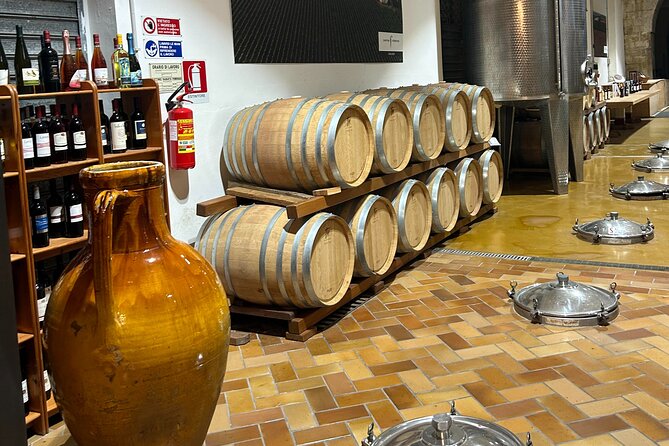 Lecce: E-Bike tour to Galatina with old olive mill & wine taste - End of Tour and Flexibility for Participants