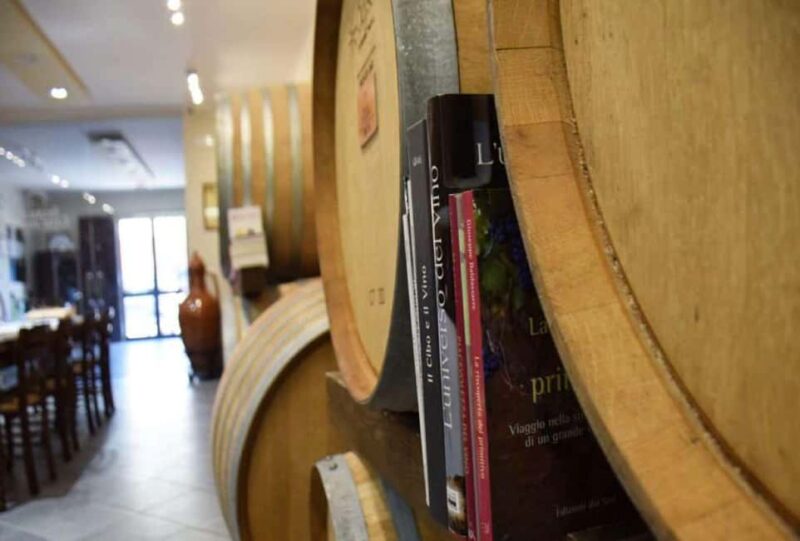 Lecce: Negroamaro Lands Winery Tour with Wine Tasting - Key Points