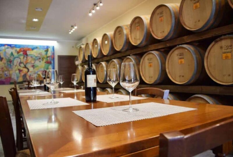 Lecce: Negroamaro Lands Winery Tour with Wine Tasting - Exploring the Artistic Hermitage in Guagnano
