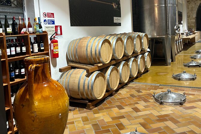 Lecce: Top Quality E-Bike Rental - From the City Center to Lecce’s Historic Landmarks