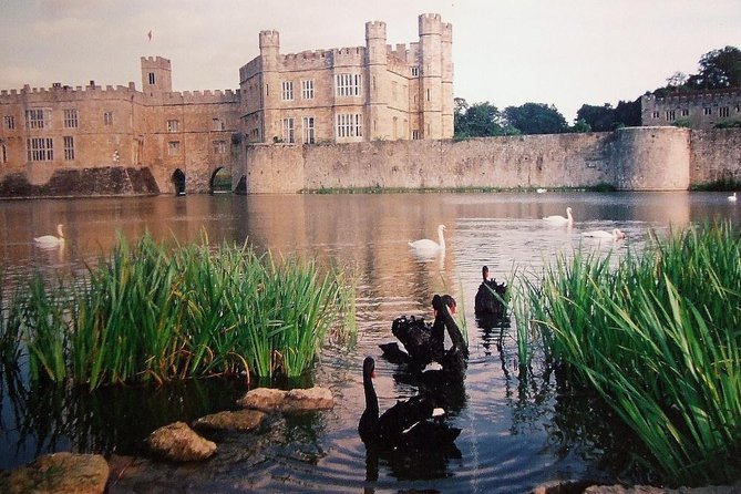 Leeds Castle, Canterbury and White Cliffs of Dover - Driver Guide - Accessibility and Physical Requirements