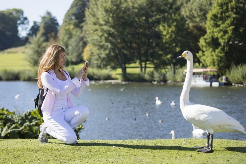 Leeds Castle, Canterbury Cathedral & Dover Private Tour - Who Will Appreciate This Tour?