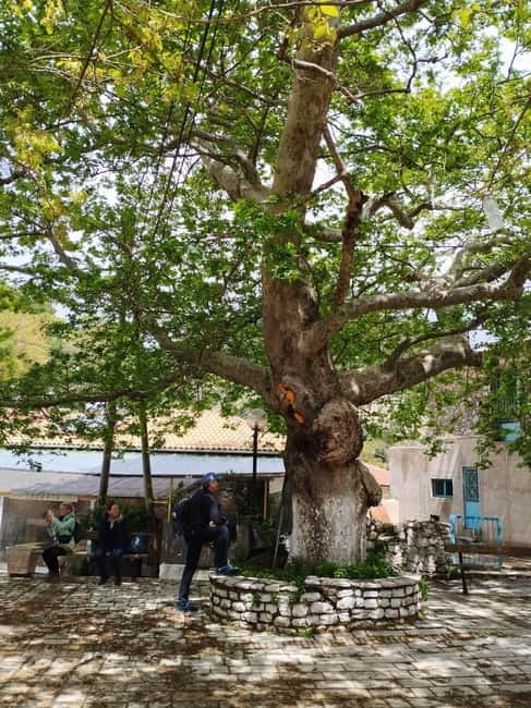 Lefkada : Hike to Eglouvis Fields of Flavor - The Path Through Olive Groves and Sandy Cliffs