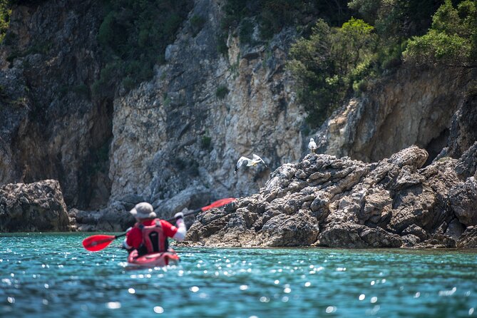 Lefkada Kayak : Explore Blue Cave with a Taste of Greece - Practical Details: Booking, Group Size, and Weather
