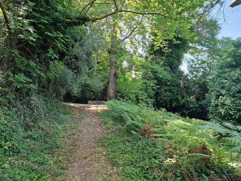 Lefkada: Path of Springs Hike with Olive Oil Tasting - Tasting Greece’s Liquid Gold and Local Delicacies