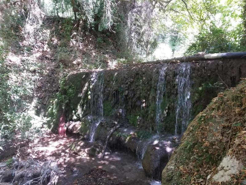 Lefkada: Path of Springs Hike with Olive Oil Tasting - Why This Tour Stands Out in Lefkada