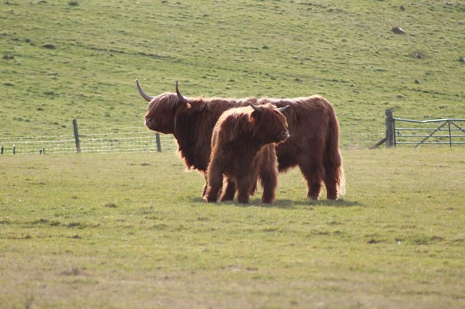 Legendary Loch Ness and Urquhart Castle Tour - Strolling Through Beauly Priory and Its Monastic Heritage