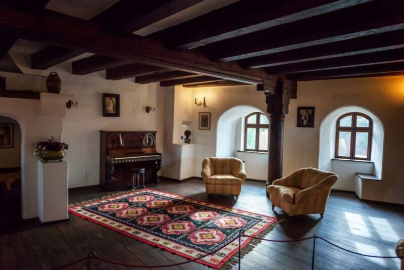 Legends&Wildlife Awaits: Dracula's Castle & Bear Sanctuary - Discovering the Gothic Mysteries of Bran Castle