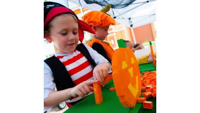 LEGOLAND California Resort: Theme Park 1-Day Admission - Considerations Based on Recent Reviews