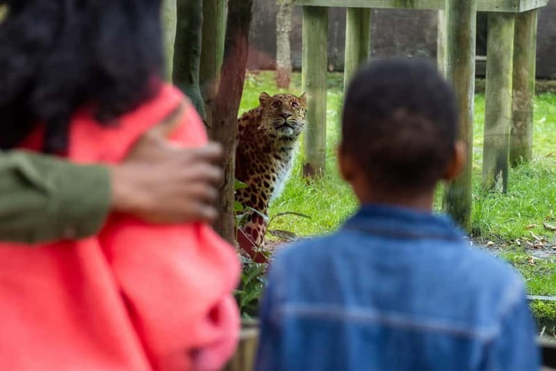 Leicestershire: Twycross Zoo Entry Ticket - Discover the Animals and Conservation Efforts