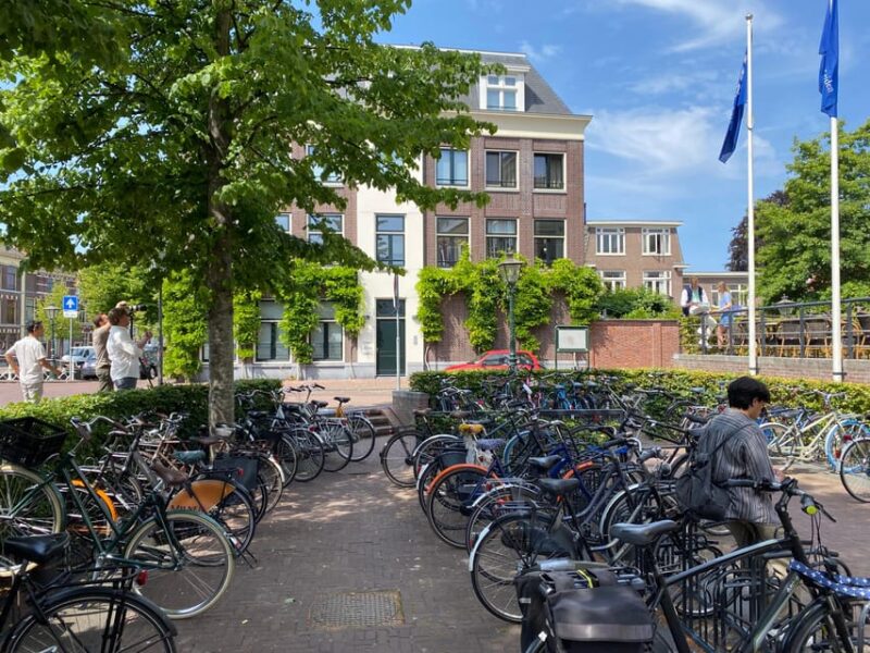 Leiden: Historical private guided tour from Amsterdam - Picnic Lunch by the Canals: Enjoy Dutch Cuisine and Local Life