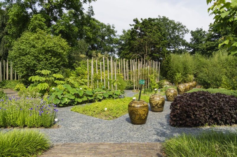 Leiden: Hortus botanicus Leiden Entry Ticket - Practical Information: Tickets, Accessibility, and Facilities