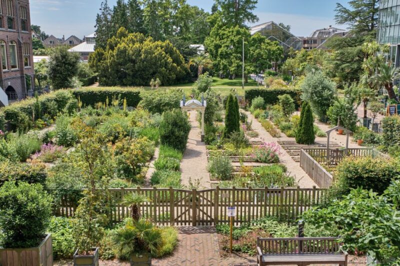 Leiden: Hortus botanicus Leiden Entry Ticket - How the Self-Guided Visit Works