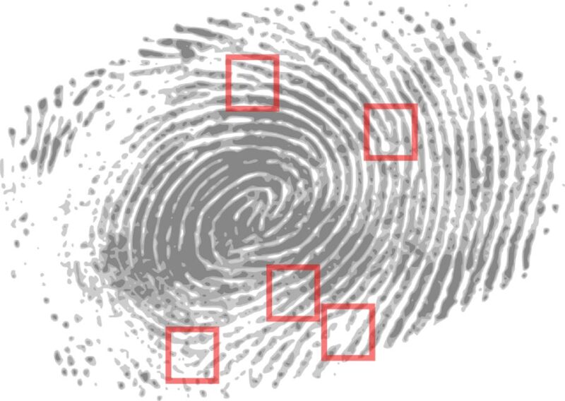 Leipzig: Guided Crime-Themed Walking Tour - Tales of Jealousy, Passion, and Last Meals