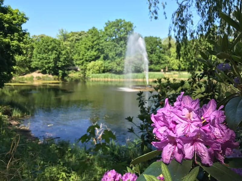 Leipzig: SCUDDY Tour  experience the city, parks, and more with a new kind of driving fun! - Passing Through the Sportforum and the Palmengarten