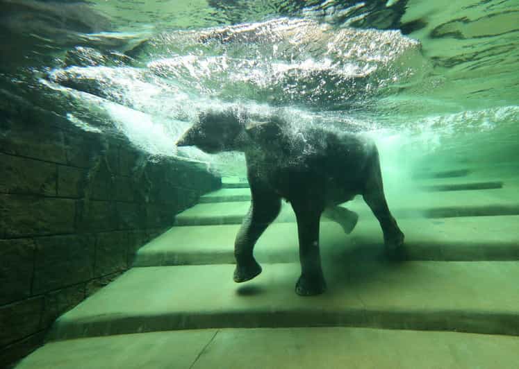 Leipzig Zoo: Entry Ticket - Leipzig Zoo: Entry Ticket - Essential Information