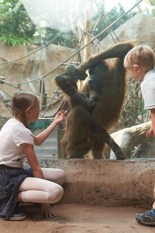 Leipzig Zoo: Entry Ticket - Asian Habitat: Elephants’ Underwater Bathing Rituals