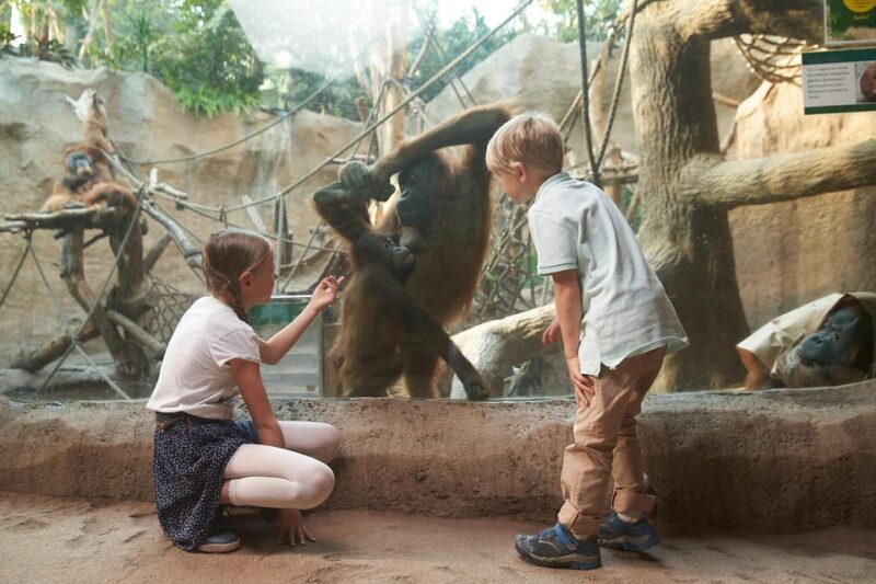 Leipzig Zoo: Entry Ticket - Practical Tips for Visiting Leipzig Zoo