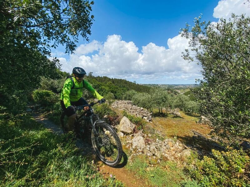 Leiria E-bike and Castel tour - Leiria E-bike and Castel tour: Exploring Portugal’s Norte Region on Two Wheels