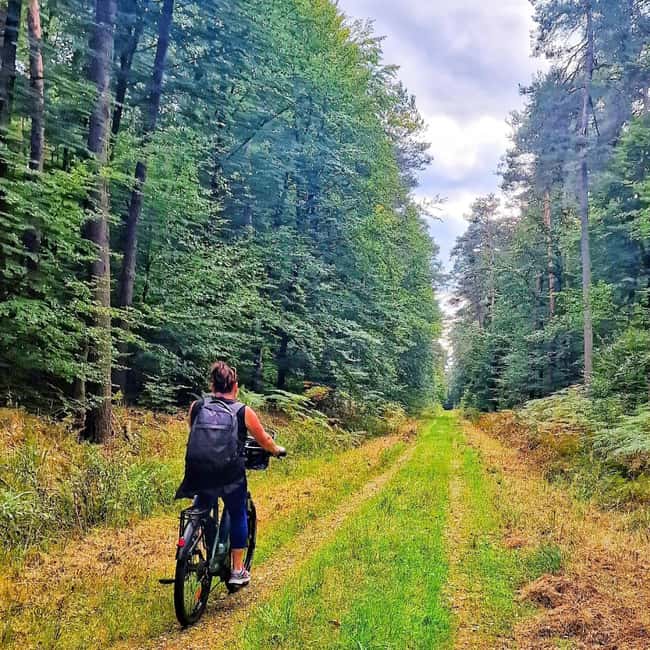 Lembach: Electric bike rental by the day - Key Points